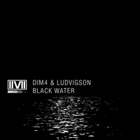 Dim4 & Ludvigson - Black Water        on Clubstream IIVII