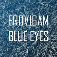 Erovigam - Blue Eyes        on Clubstream green