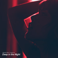 Desusino Boys, Larissa Jay - Deep in the Night        on Clubstream dansant